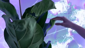 Galeria Anca Poterasu deschide anul expozițional cu un proiect interactiv dedicat practicilor artistice emergente