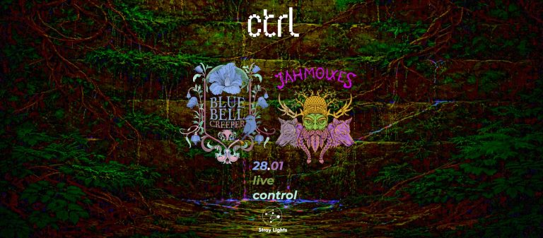 Stray Lights Showcase: Jahmolxes // Bluebell Creeper @ Control Club