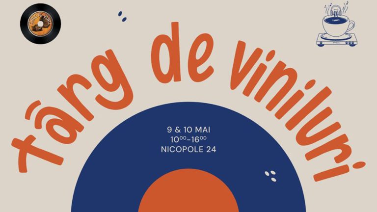 Târg de Viniluri în Brașov