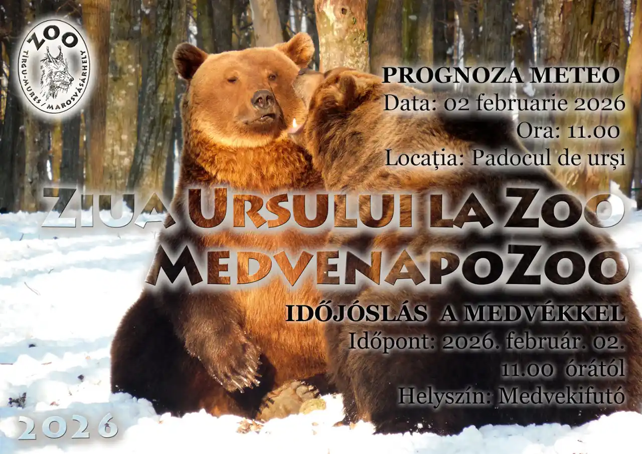 Ziua Ursului la Grădina Zoologică Târgu Mureș Ziua Ursului la Grădina Zoologică Târgu Mureș