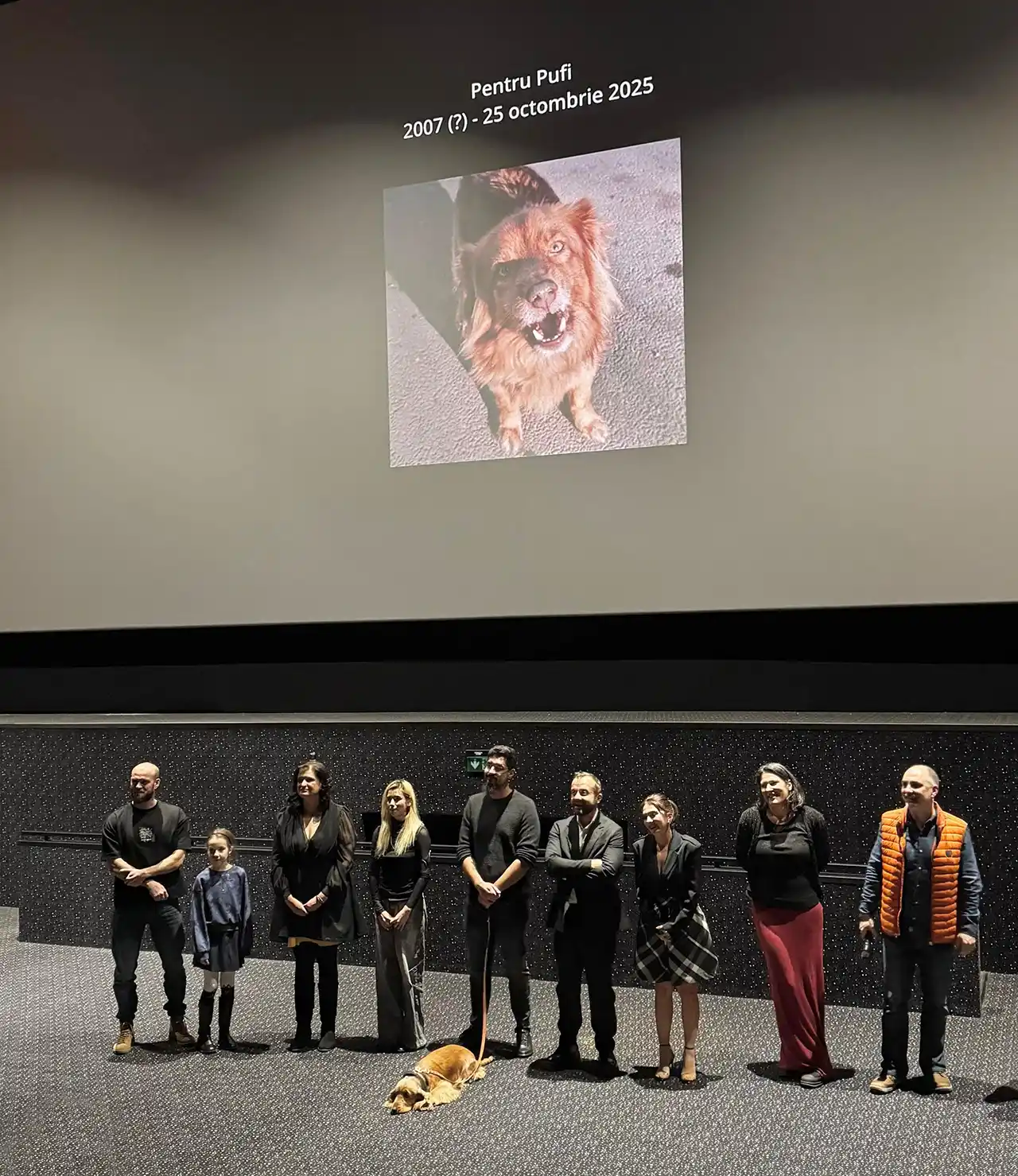 Premieră &icirc;n Rom&acirc;nia. Cinema-ul care a lăsat cățeii să intre la film