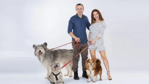 Povestea filmului „Efectul Pufi”, comedia romantică cu patrupezi care schimbă regulile jocului