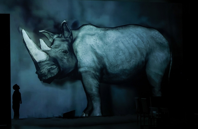 Despre oameni, doctori și rinoceri @ TNB