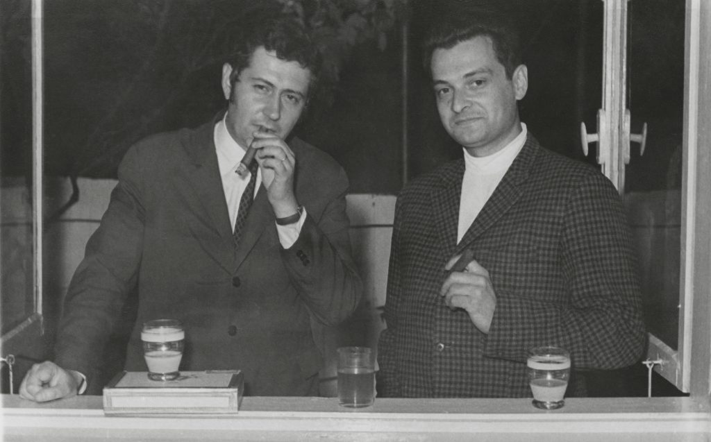 Ion Vianu & Matei Călinescu