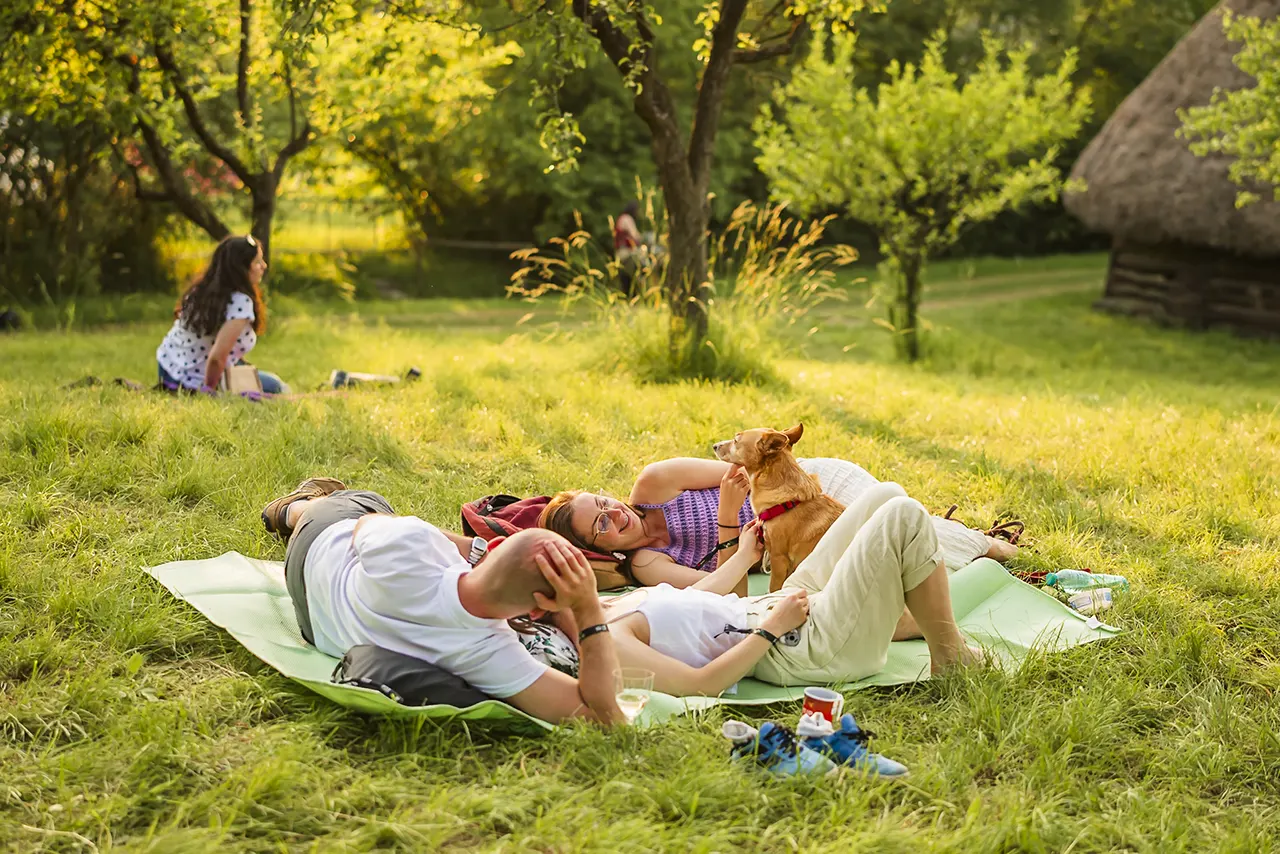 Participanți relax&acirc;ndu-se pe iarbă la Jazz in the Park, Cluj-Napoca