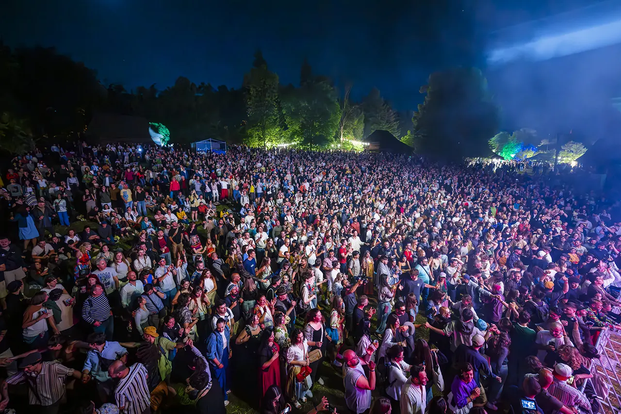 Public numeros la un concert de seară, Jazz in the Park