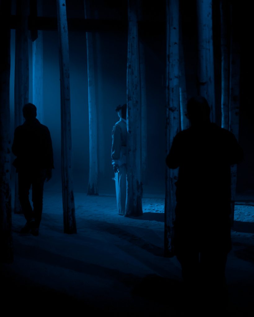 Mansarda cu mesteceni