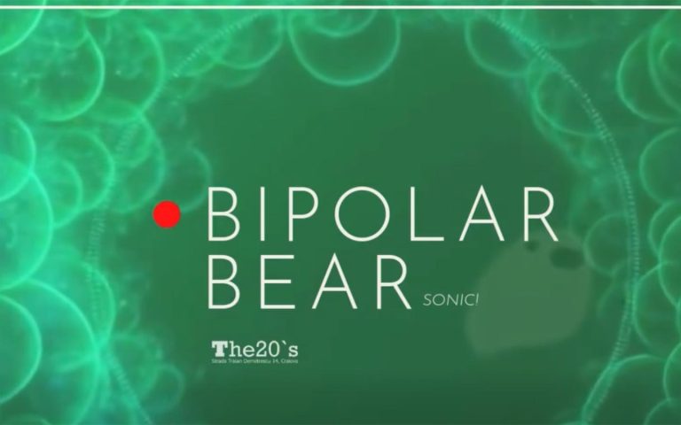 Bipolar Bear