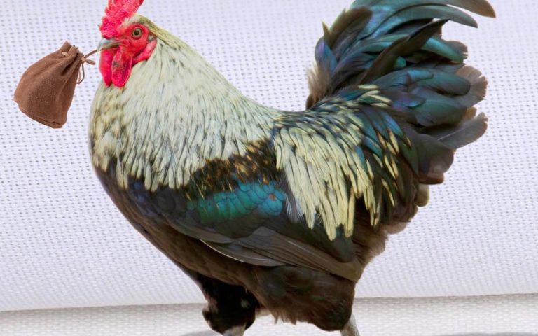 Atelier de Mărțișor: Punguța cu doi bani