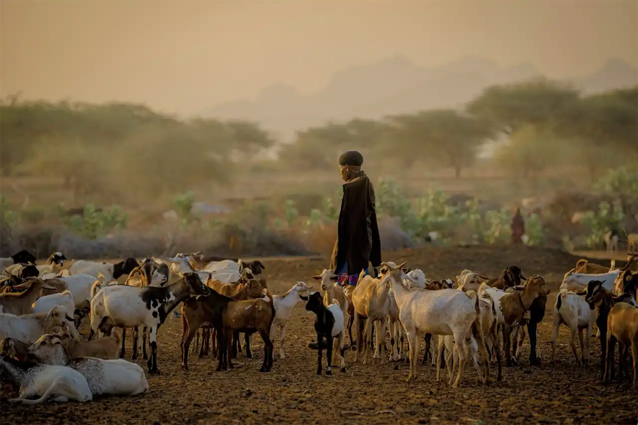 Soarele apune &icirc;n satul Lmote, din zona tribală Samburu din nordul Kenyei (foto Andrei Mihalca)
