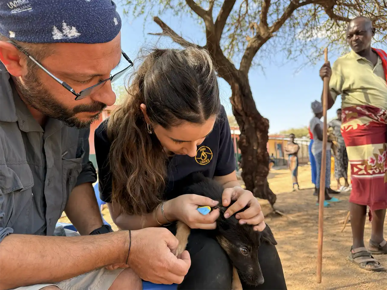 Activitate de cercetare a paraziților c&acirc;inilor, &icirc;mpreună cu studenții, Kenya, 2025 (foto David Modr&yacute;)