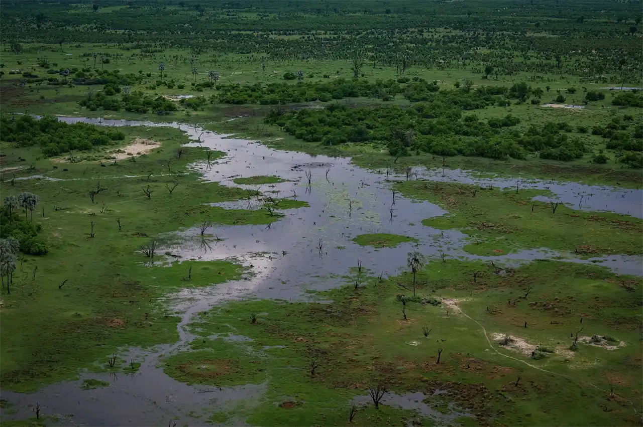 Delta Okavango, Botswana (foto Andrei Mihalca)