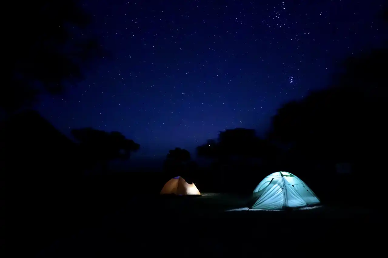 Campare &icirc;n sălbăticia Parcului Național Hwange, Zimbabwe, 2024 (foto Andrei Mihalca)