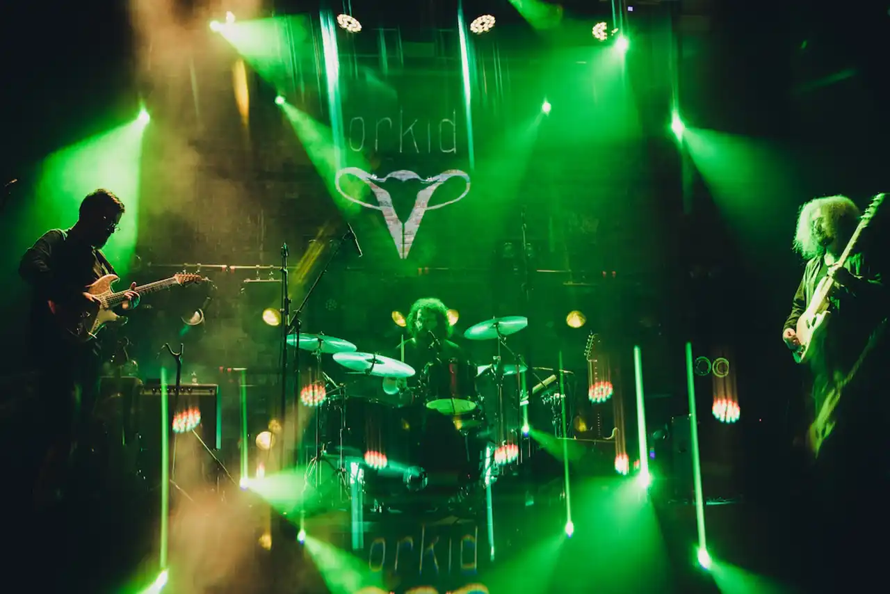 Concert Orkid și PLANT + lansare dublu vinil Stray Lights: evenimentul major al scenei alternative din România