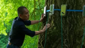 Programul săptămânii 24–29 martie la Cinema Victoria, Cinema Timiș, Cinema Studio și Cinema Johnny din Timișoara