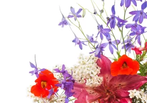 Spectacol de muzică ușoară și folclor „Emoție și voie bună în cântec de martie” la Sala de Spectacole ”Tudor Jarda”