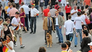 Seriale îndrăgite și eroi memorabili revin pe AXN Black și AXN White în luna martie, cu titluri precum JAG, Kommissar Rex și The Good Doctor