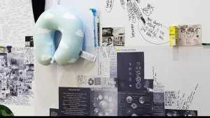 Biletele pentru expoziția Lia și Dan Perjovschi – „Draft pentru o retrospectivă comună”, au fost puse în vânzare