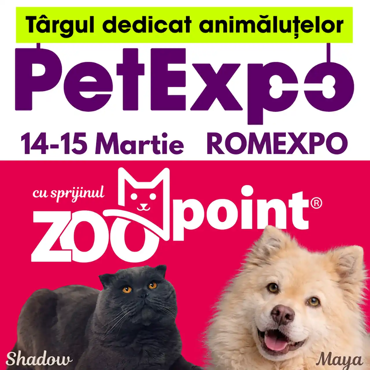 PetExpo 2026 – Două zile în care iubirea pentru animale devine spectacol