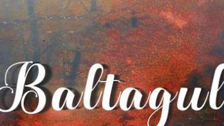 Baltagul