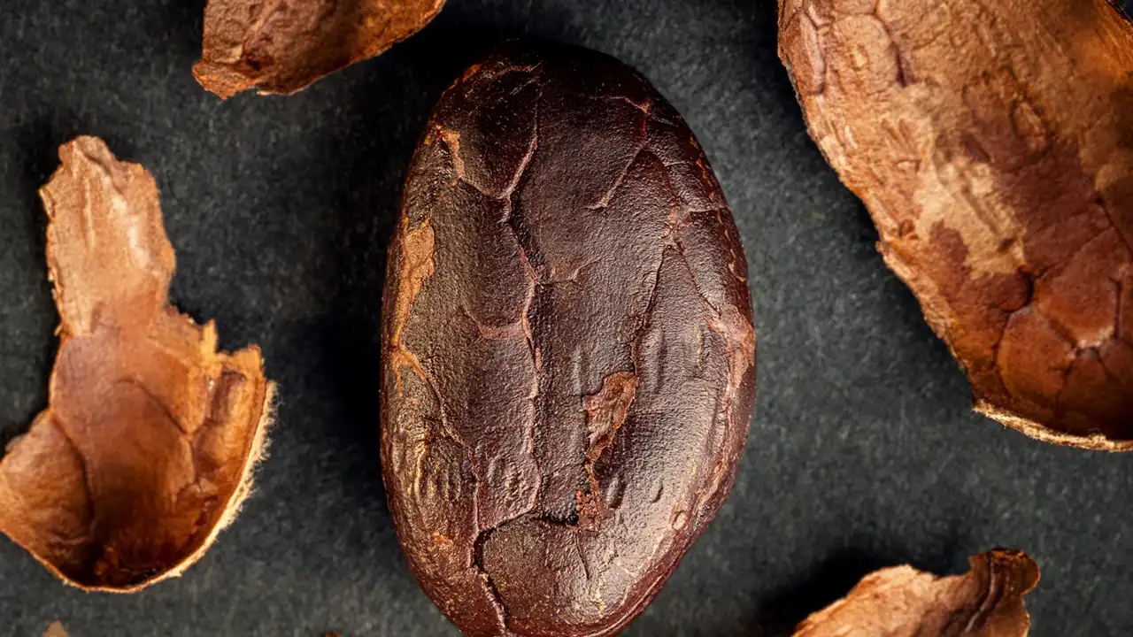 &Icirc;ncepe Chocolate Saga, un festival al gustului