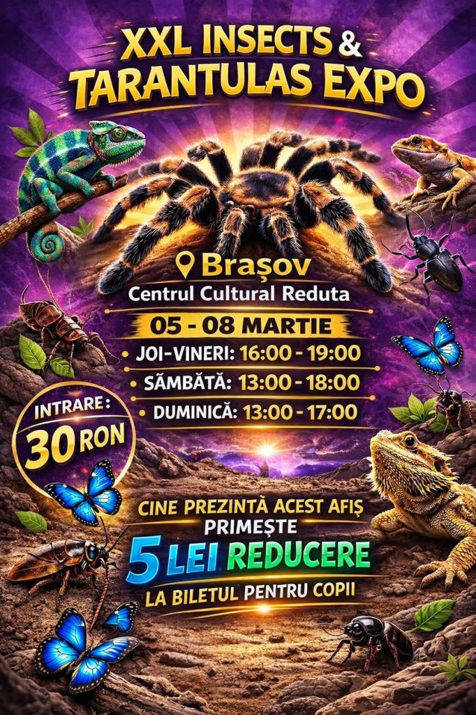 XXL Tarantula & Insecte Expo