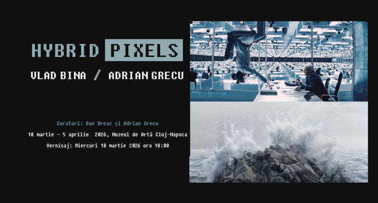 Vlad Bina/ Adrian Grecu. Hybrid Pixels