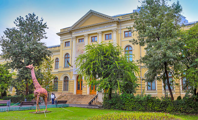 Muzeul Naţional de Istorie Naturală „Grigore Antipa”