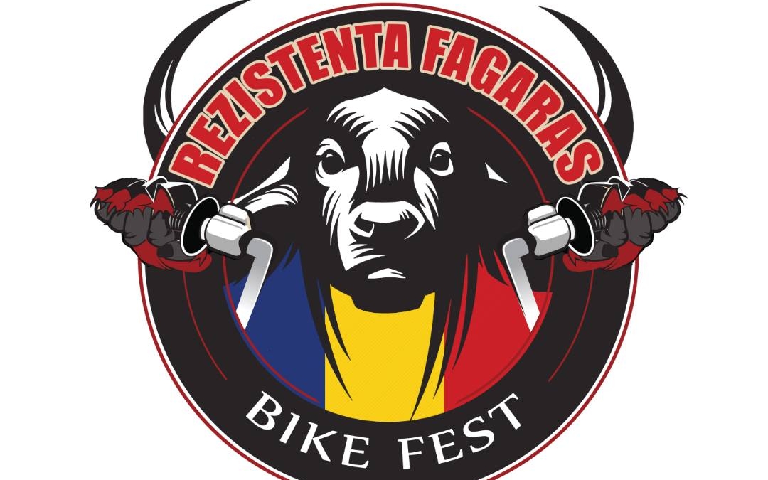 rezistenta fagaras logo