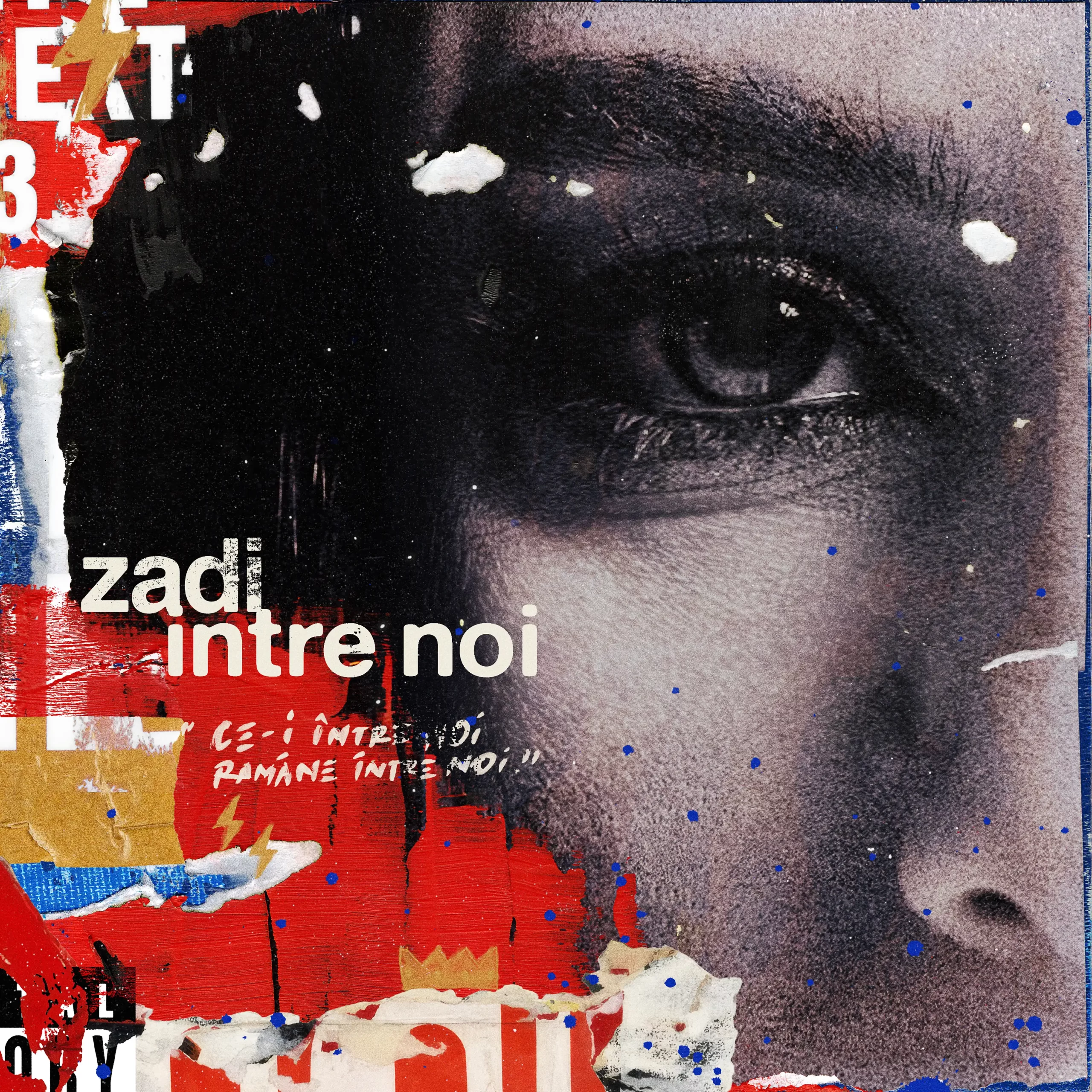 Poză cu albumul Zadi