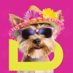 Hello Doggie Festival, cel mai mare festival pentru iubitorii și posesorii de câini din România