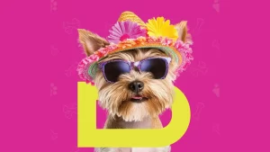 Hello Doggie Festival, cel mai mare festival pentru iubitorii și posesorii de câini din România