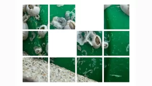 Lansarea cercetării antropologice Plasticul tuturor, realizate de Dr. Magdalena Crăciun, la Muzeul Național al Țăranului Român