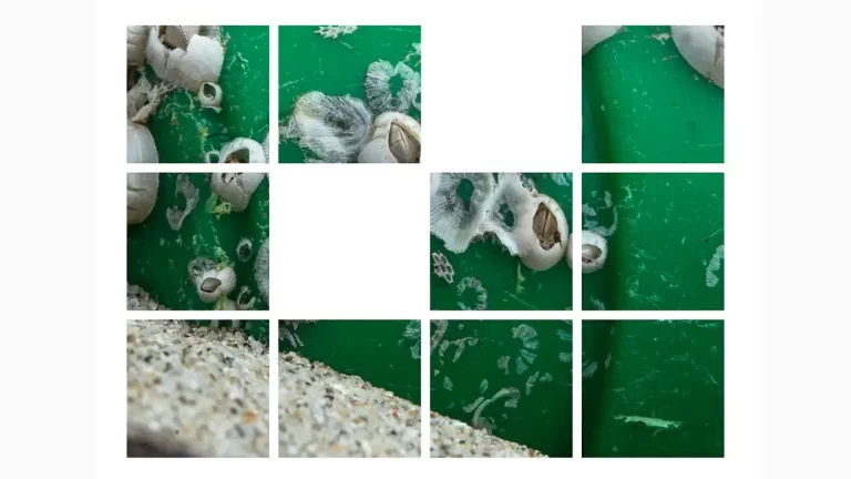 Lansarea cercetării antropologice Plasticul tuturor, realizate de Dr. Magdalena Crăciun, la Muzeul Național al Țăranului Român