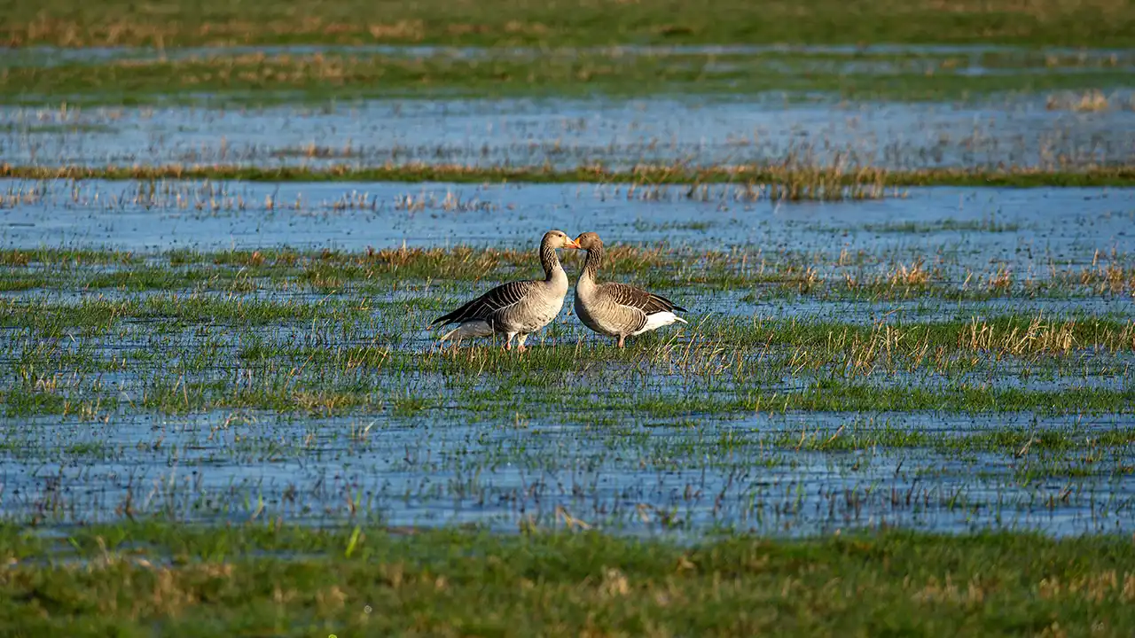Explorarea Dobrogei sălbatice: 5 idei practice pentru o vacanță activă&nbsp;