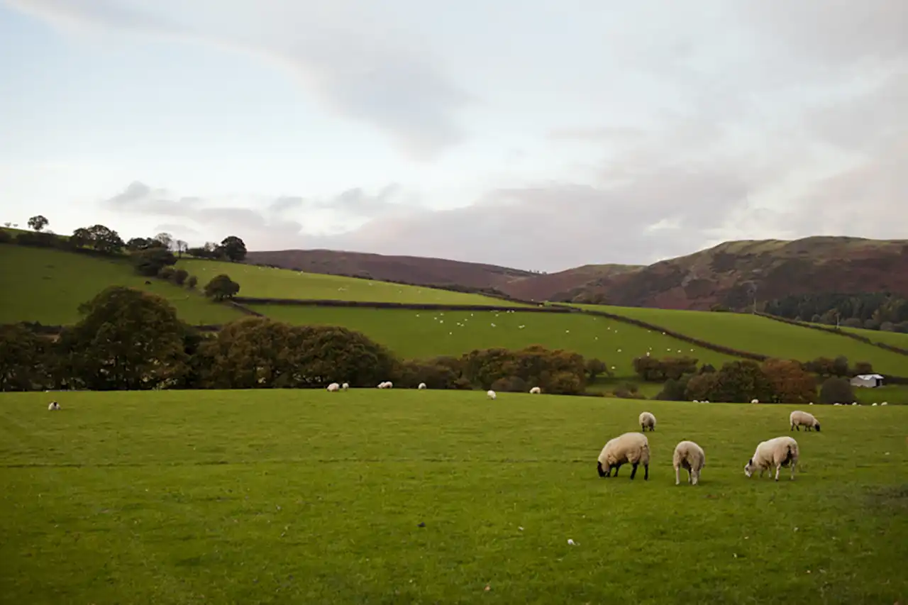 &bdquo;Ultima transhumanță&rdquo;, un documentar despre o tradiție pastorală veche de mii de ani, ajunge &icirc;n cur&acirc;nd &icirc;n cinematografe