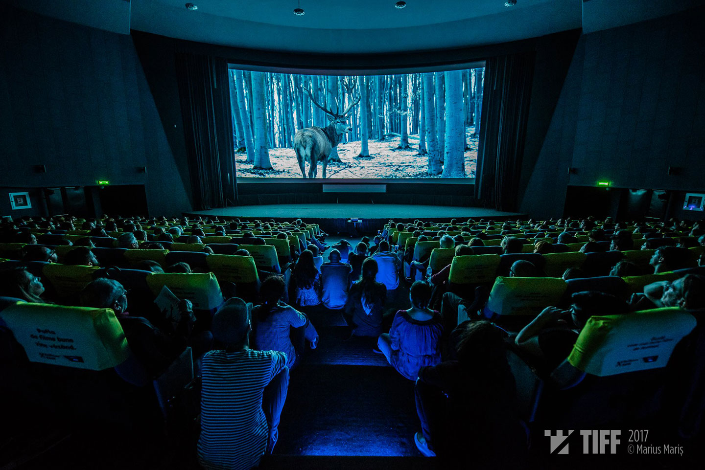 BAD UNCORN - De la pasiune la distribuitorul european al anului