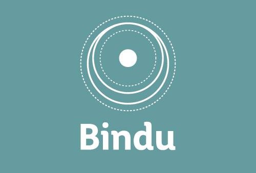Bindu