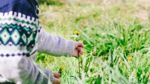 Foraging de primăvară