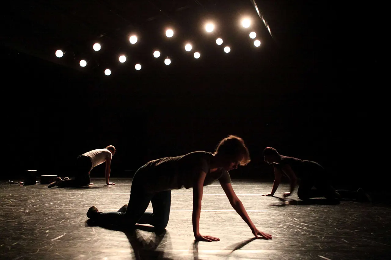 “RECONSTRUCTION”, 2011 (idee/regie/lumini: JOANNA LEŚNIEROWSKA)