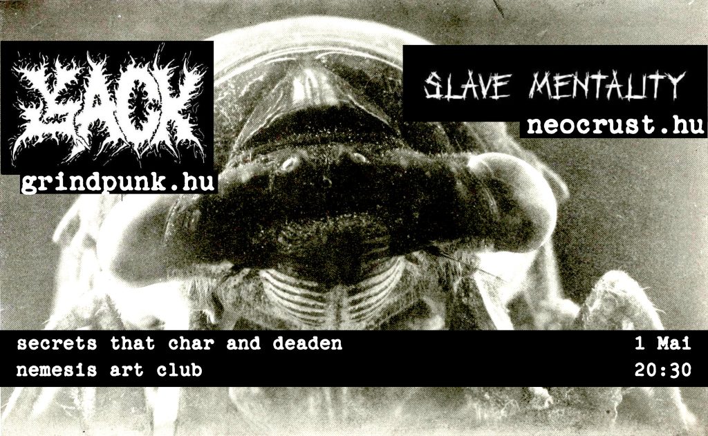 Jack + Slave Mentality