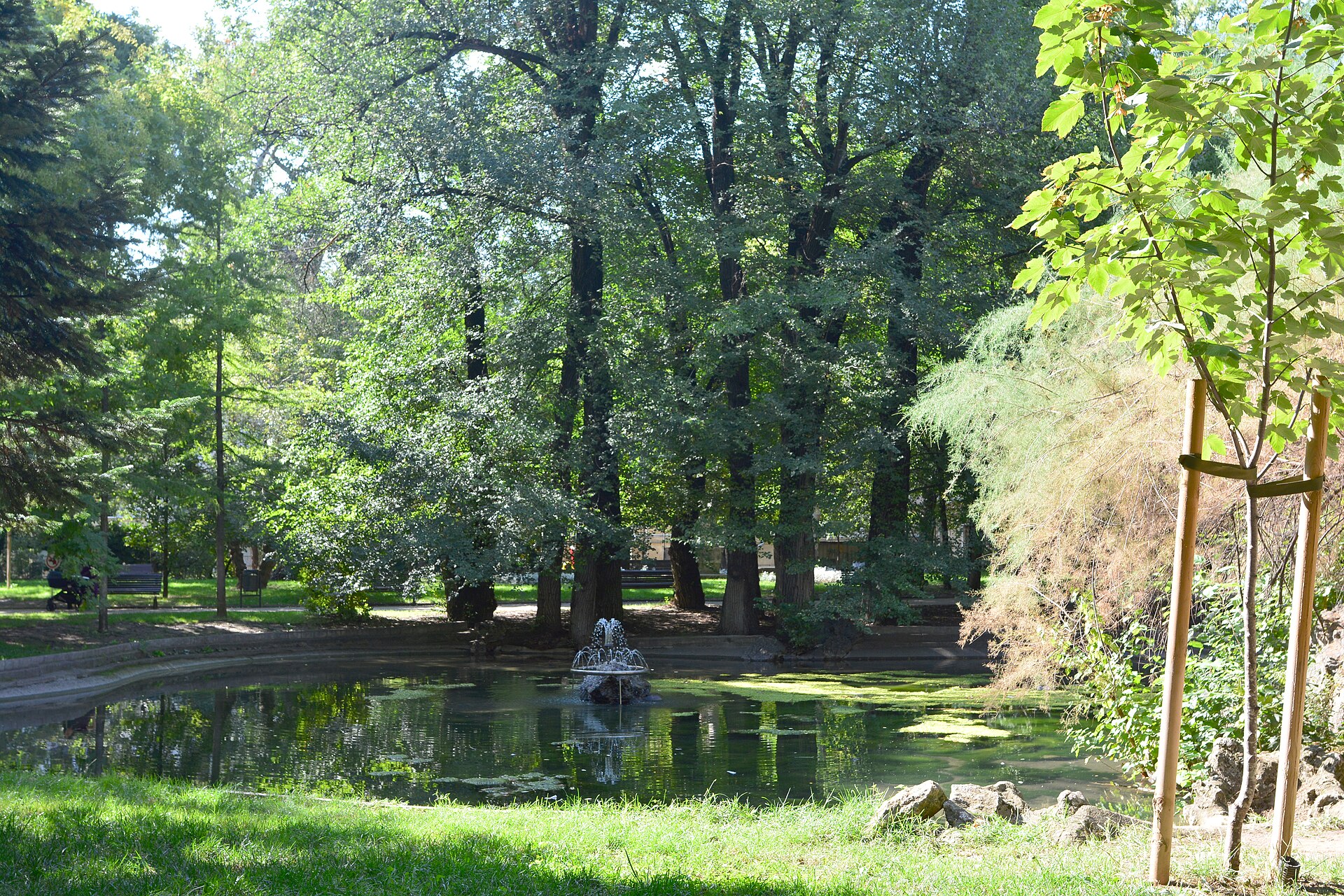 Parcul Ioanid vedere cu lacul din interior Parcurile din Bucuresti ghid de plimbare urbana 2026