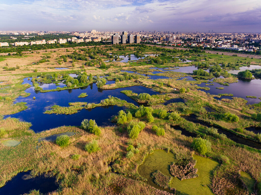 imagine aeriana din Parcul Natural Vacaresti redenumit Parcul Natural Bucuresti