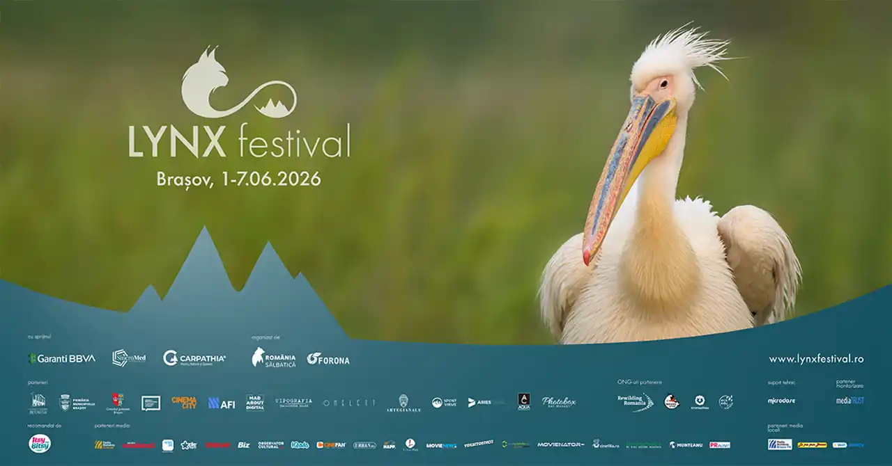 Afișul festivalului LYNX 2026