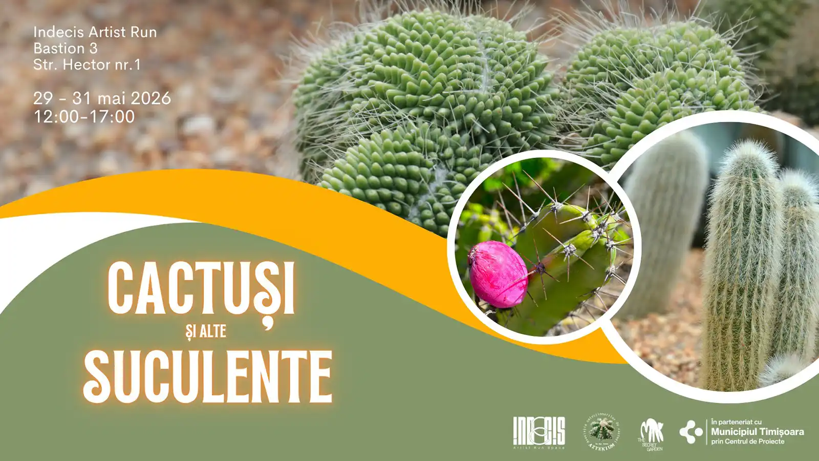 Cactuși și alte plante suculente: expoziție, t&acirc;rg și ateliere la Indecis artist run