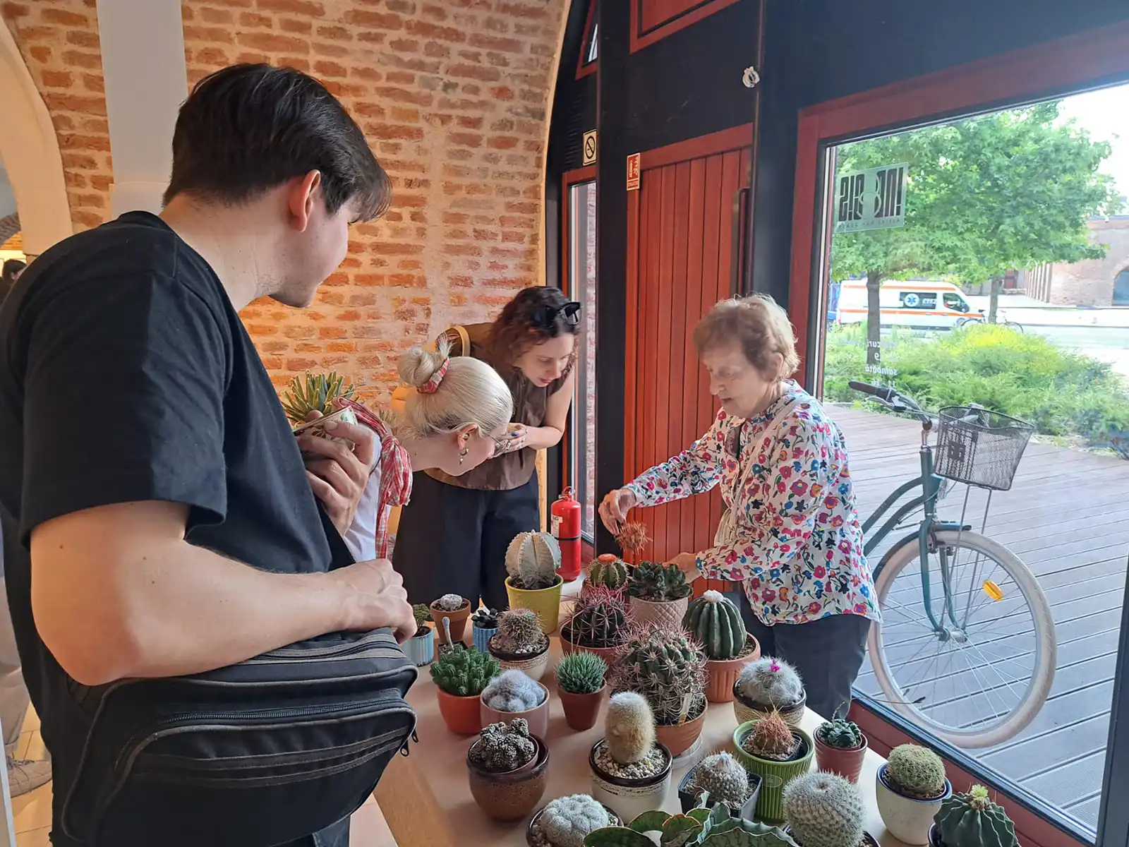 Cactuși și alte plante suculente: expoziție, t&acirc;rg și ateliere la Indecis artist run