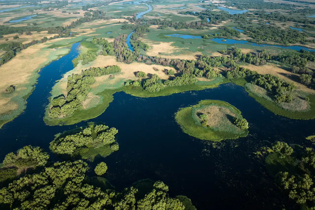 Imagine din documentarul &bdquo;Delta Sălbatică&rdquo;
