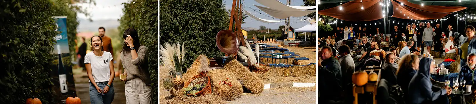 Poză de la Gramofon Must Party