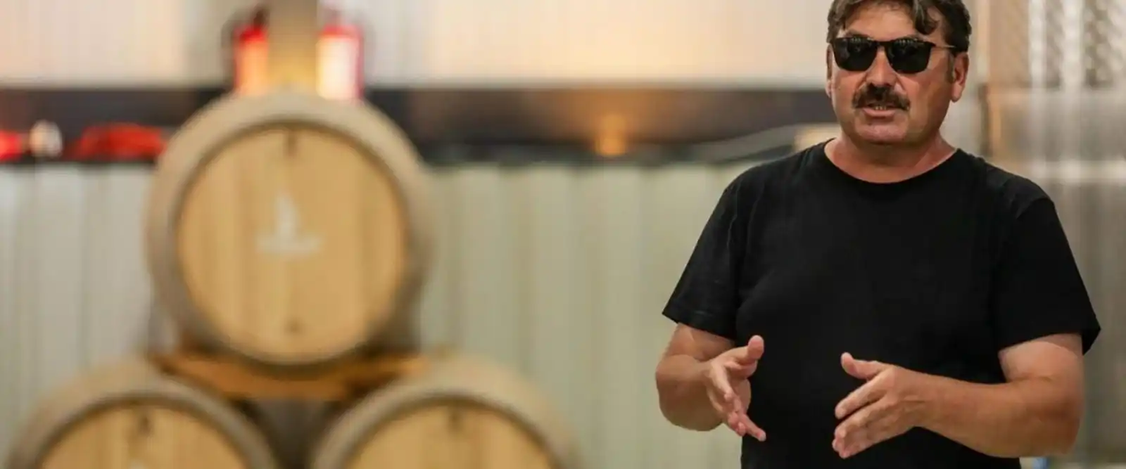 Gramofon Wine