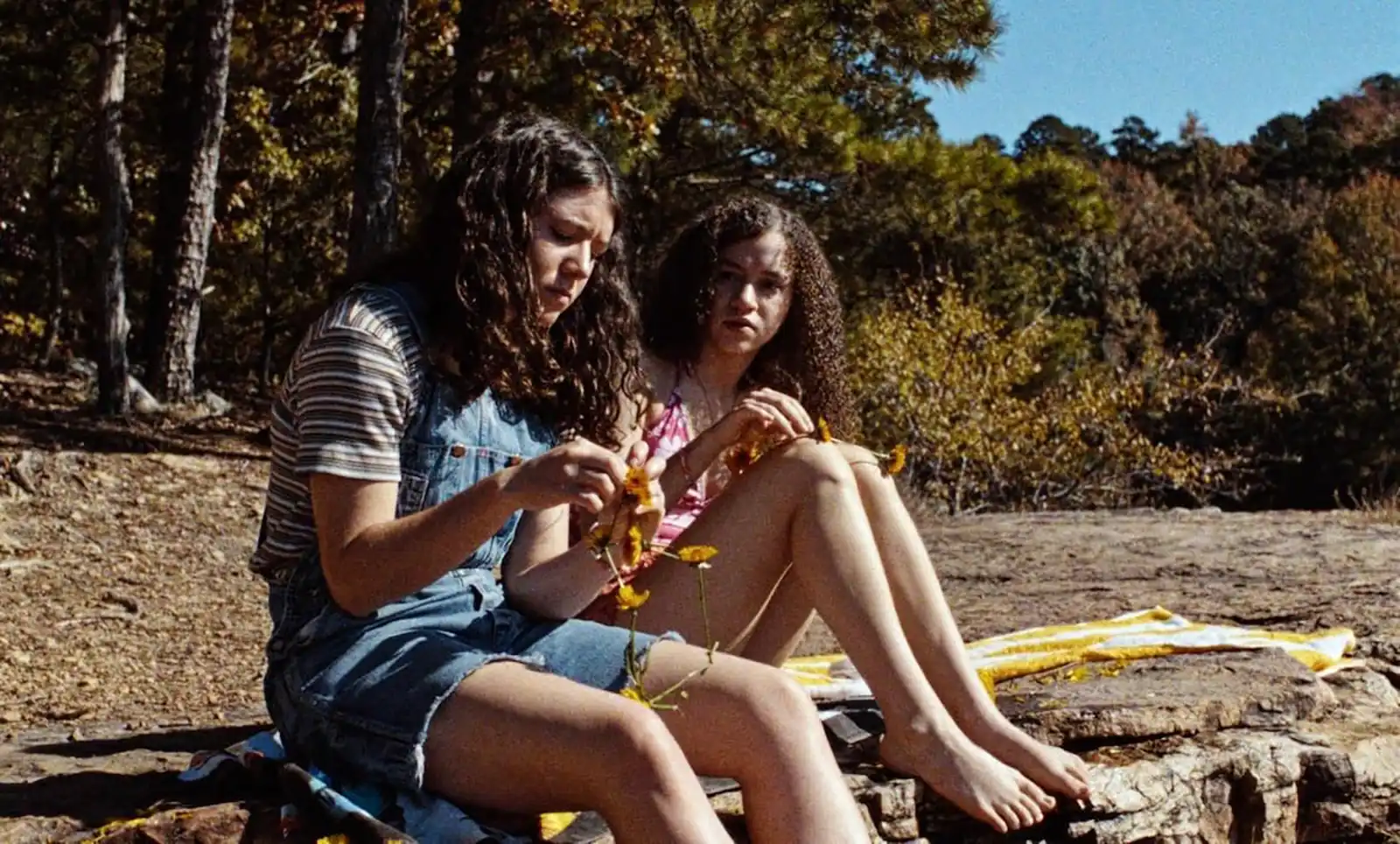 S-au pus &icirc;n v&acirc;nzare biletele pentru American Independent Film Festival.10